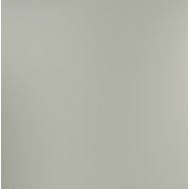 Casalgrande Padana Unicolore Technic Naturale Grigio Mosca 5414/0 10,5